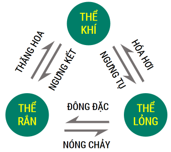 Sơ đồ chuyển thể của các chất